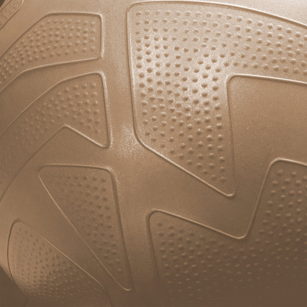 Everlast 65cm Pro Grip Burst Resistant Fitness Ball by Everlast Canada